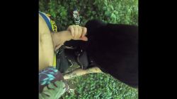 Ma copine accro au cul, soudain me suce dans le parc