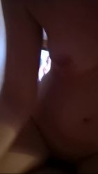 Sextape of a little couple of young pigs