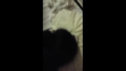 Sextape of a French amateur couple, brunette with a big ass