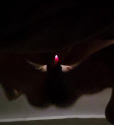 I surrender to the pleasure of a giant cock