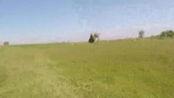 Amateur couple fucking in public park