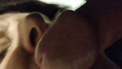 Amateur couple’s bathroom blowjob